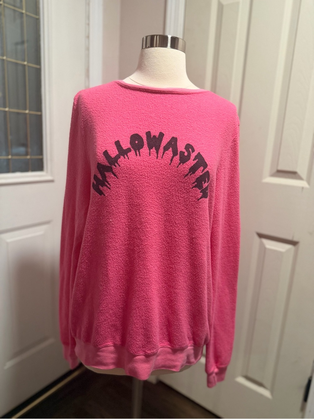 Wildfox Pink Hallowasted Sweatshirt